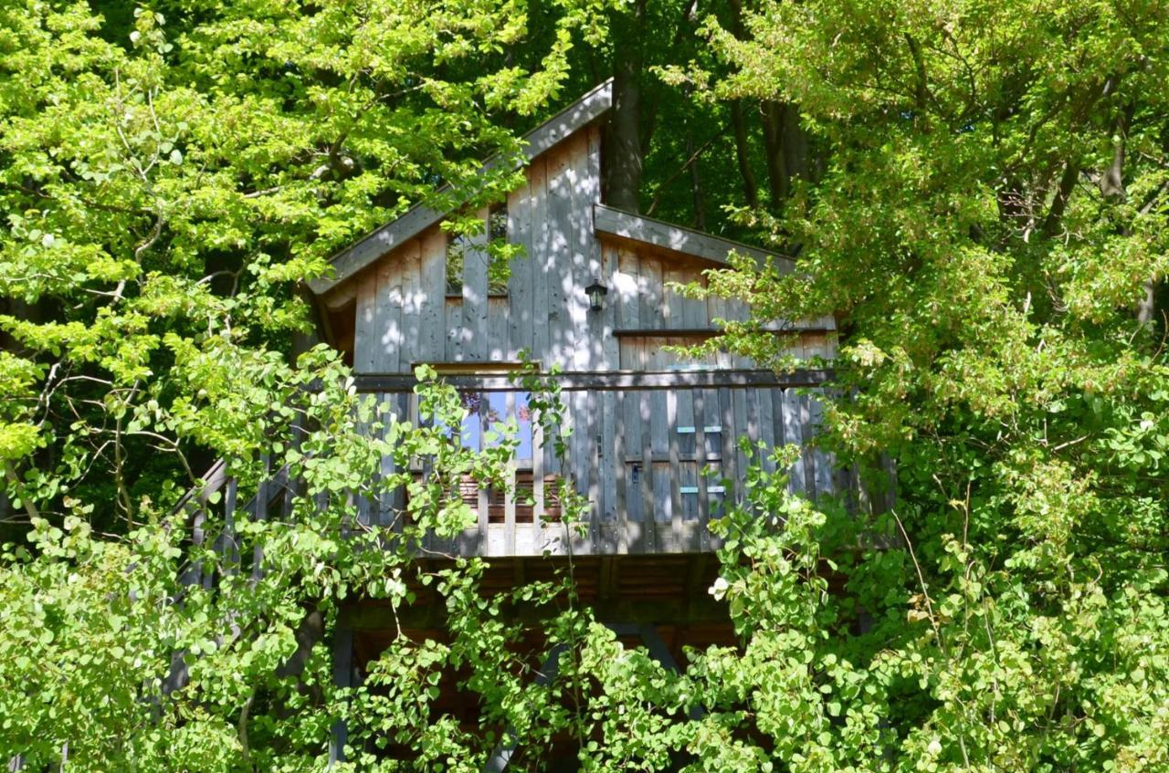 אוסלאר Baumhaushotel Solling מראה חיצוני תמונה